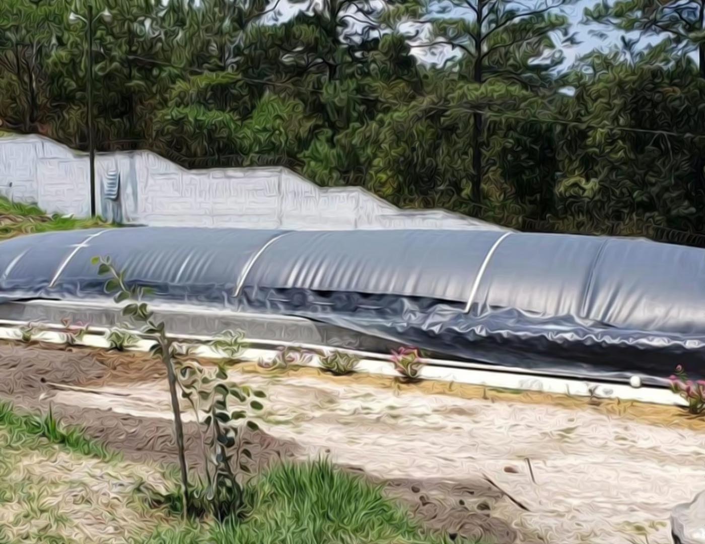 Gahwe Farm_01_0004