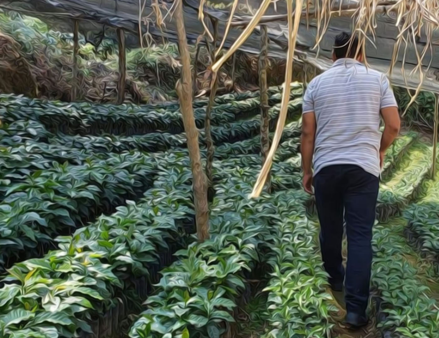 Gahwe Farm_01_0014