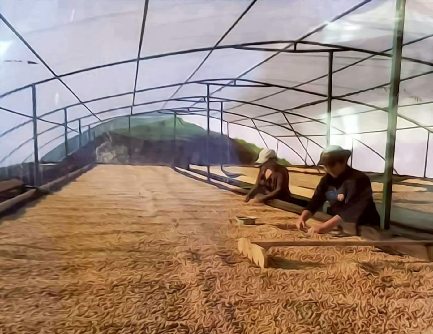 Gahwe Farm_01_0017